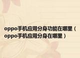 oppo手机应用分身功能在哪里（oppo手机应用分身在哪里）