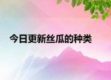 今日更新丝瓜的种类