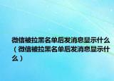 微信被拉黑名单后发消息显示什么（微信被拉黑名单后发消息显示什么）