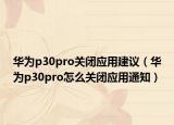 华为p30pro关闭应用建议（华为p30pro怎么关闭应用通知）