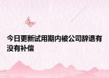 今日更新试用期内被公司辞退有没有补偿