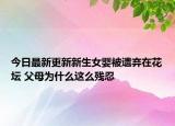 今日最新更新新生女婴被遗弃在花坛 父母为什么这么残忍