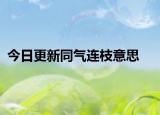 今日更新同气连枝意思