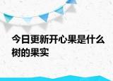 今日更新开心果是什么树的果实