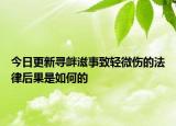今日更新寻衅滋事致轻微伤的法律后果是如何的