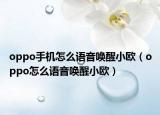oppo手机怎么语音唤醒小欧（oppo怎么语音唤醒小欧）