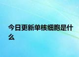 今日更新单核细胞是什么