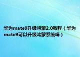 华为mate9升级鸿蒙2.0教程（华为mate9可以升级鸿蒙系统吗）