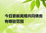 今日更新离婚共同债务有哪些范围