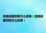 微信延期到账怎么回事（微信延期到账怎么回事）