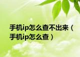 手机ip怎么查不出来（手机ip怎么查）