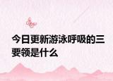 今日更新游泳呼吸的三要领是什么