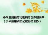 小米应用锁忘记密码怎么办超简单（小米应用锁忘记密码怎么办）