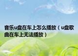 音乐u盘在车上怎么播放（u盘歌曲在车上无法播放）