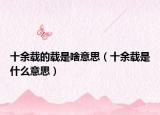 十余载的载是啥意思（十余载是什么意思）
