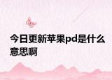 今日更新苹果pd是什么意思啊