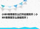 小米8青春版怎么打开应用双开（小米8青春版怎么微信双开）