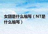 女团是什么缩写（NT是什么缩写）