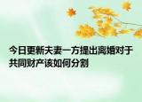 今日更新夫妻一方提出离婚对于共同财产该如何分割