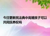 今日更新民法典中离婚孩子可以共同抚养权吗