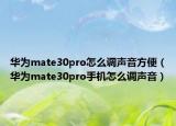 华为mate30pro怎么调声音方便（华为mate30pro手机怎么调声音）