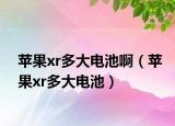 苹果xr多大电池啊（苹果xr多大电池）