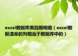 excel数据库类别跟明细（excel数据清单的列相当于数据库中的）