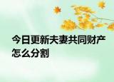 今日更新夫妻共同财产怎么分割
