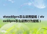 vivox60pro怎么设置壁纸（vivox60pro怎么设置行为壁纸）