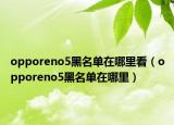opporeno5黑名单在哪里看（opporeno5黑名单在哪里）