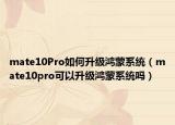 mate10Pro如何升级鸿蒙系统（mate10pro可以升级鸿蒙系统吗）