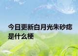 今日更新白月光朱砂痣是什么梗