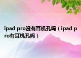 ipad pro没有耳机孔吗（ipad pro有耳机孔吗）