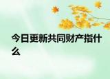 今日更新共同财产指什么