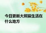 今日更新大熊猫生活在什么地方