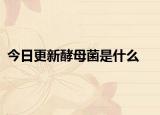 今日更新酵母菌是什么