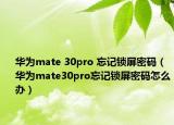 华为mate 30pro 忘记锁屏密码（华为mate30pro忘记锁屏密码怎么办）