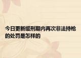 今日更新缓刑期内再次非法持枪的处罚是怎样的