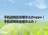 手机迟钝反应慢怎么办oppo（手机迟钝反应慢怎么办）