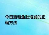 今日更新鱼肚泡发的正确方法