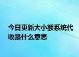 今日更新大小额系统代收是什么意思
