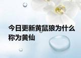今日更新黄鼠狼为什么称为黄仙