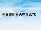 今日更新春天有什么花