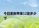 今日更新苹果12是多少寸