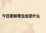 今日更新寄生虫是什么