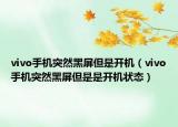 vivo手机突然黑屏但是开机（vivo手机突然黑屏但是是开机状态）