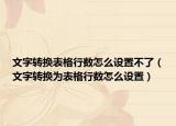 文字转换表格行数怎么设置不了（文字转换为表格行数怎么设置）