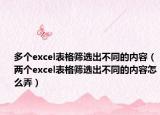 多个excel表格筛选出不同的内容（两个excel表格筛选出不同的内容怎么弄）