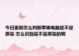 今日更新怎么判断苹果电脑是不是原装 怎么识别是不是原装的呢