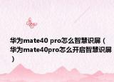 华为mate40 pro怎么智慧识屏（华为mate40pro怎么开启智慧识屏）